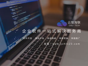 云智海聯(lián)時(shí)代，工業(yè)軟件定制開發(fā) 企業(yè)數(shù)字化轉(zhuǎn)型的核心引擎